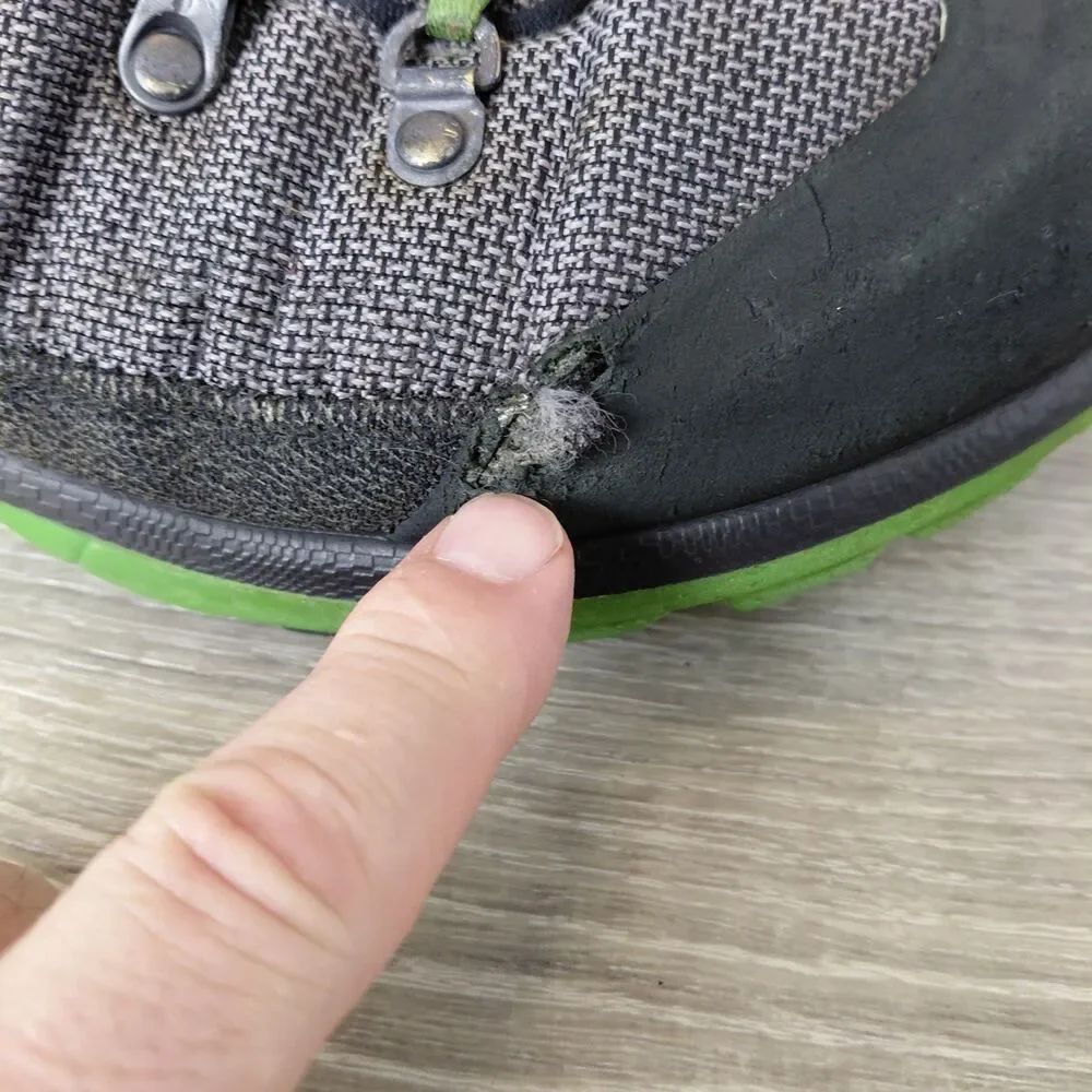 Ecco biom terrain